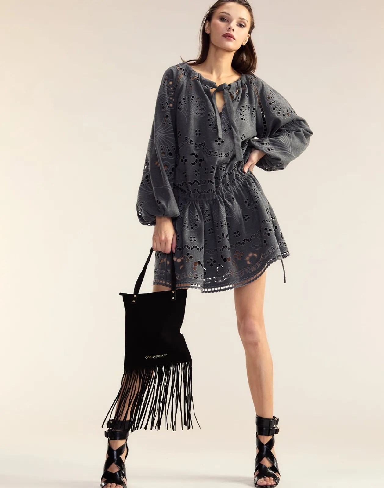 Discount Cynthia Rowley Wellesley Embroidered Dress HGREY